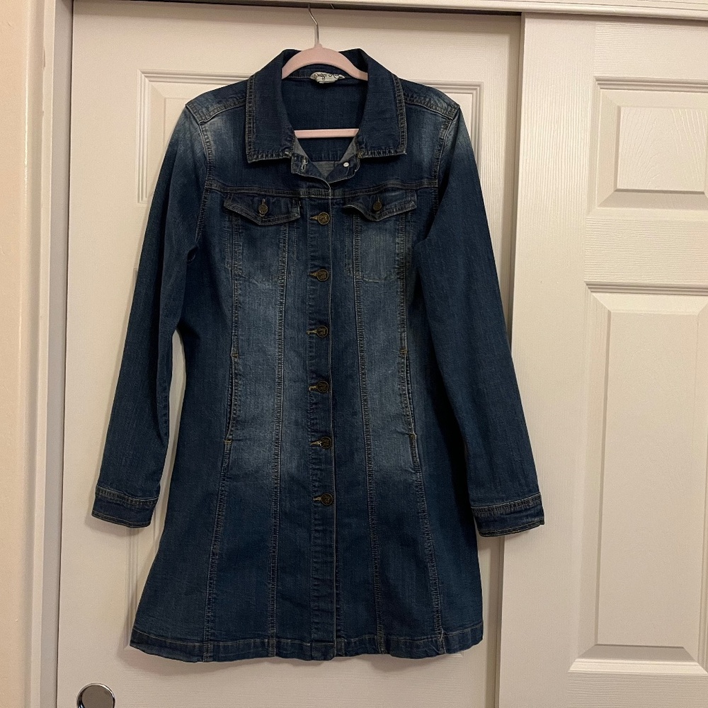 Denim Dress or Long Jacket